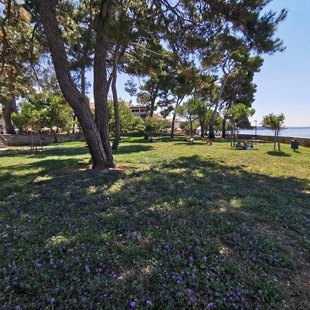 Nina Deluxe Superior 5 Star Apartment, Your Piece Of Heaven By The Sea & Park Novigrad Istria Buitenkant foto